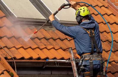 Démoussage et hydrofuge de toiture à Joze